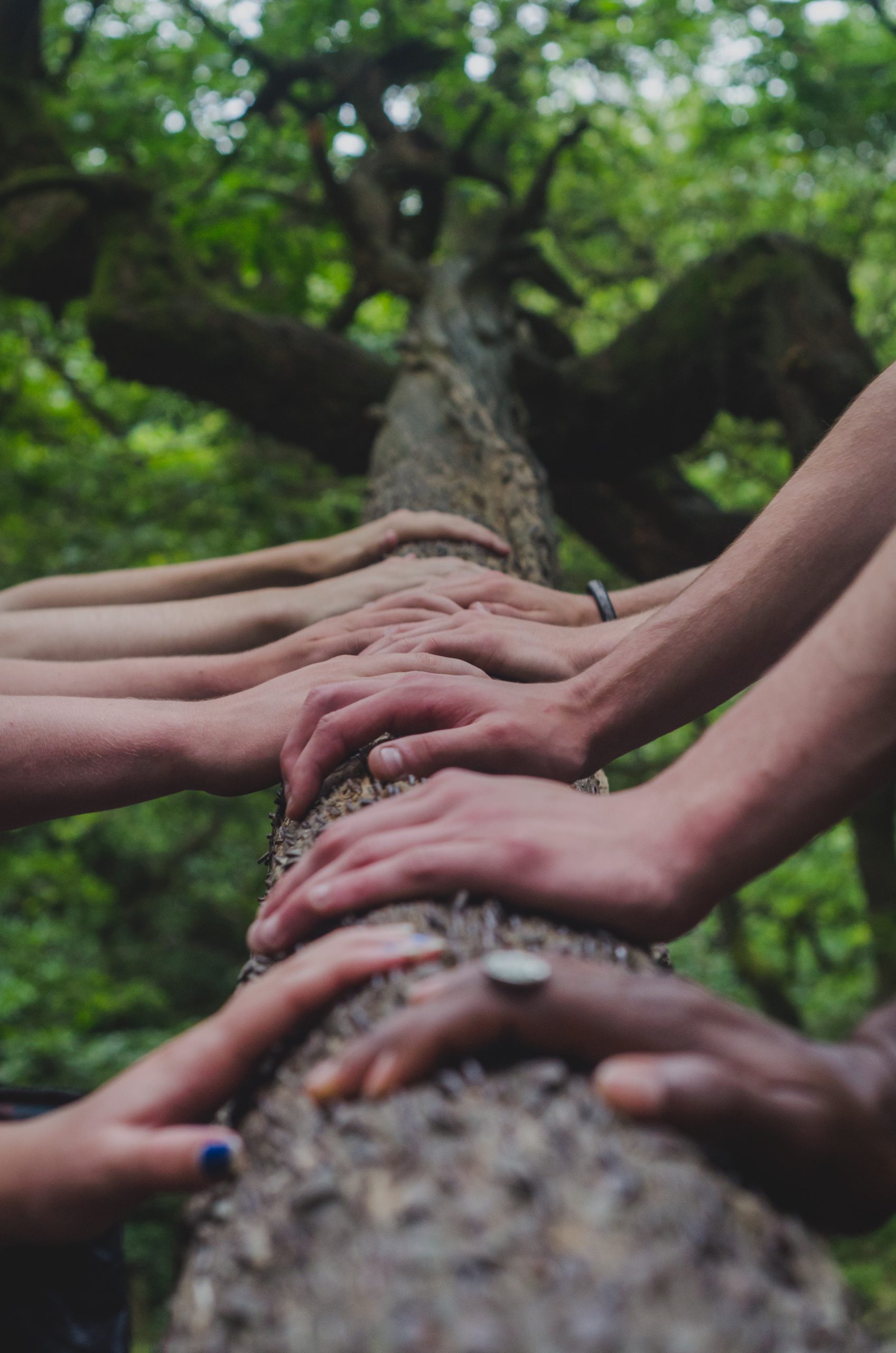 “Engaging Place as Partner” by Cheryl K. Siemers, Barbara Harrison, Patti H. Clayton, and Talmage A. Stanley